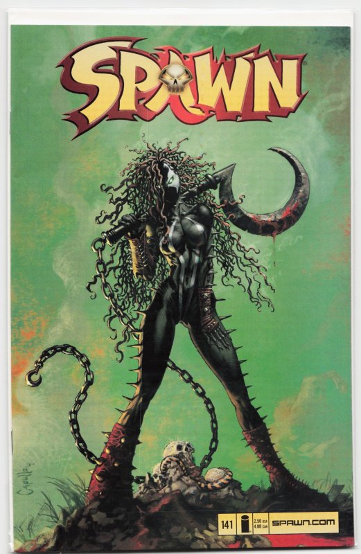 Spawn #141 (Image Comics, 2004), raw, ungraded comic book — front cover
