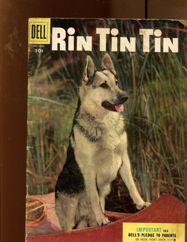 Rin Tin Tin #10 (Dell, 1955), raw comic book in 2.5 condition — front cover