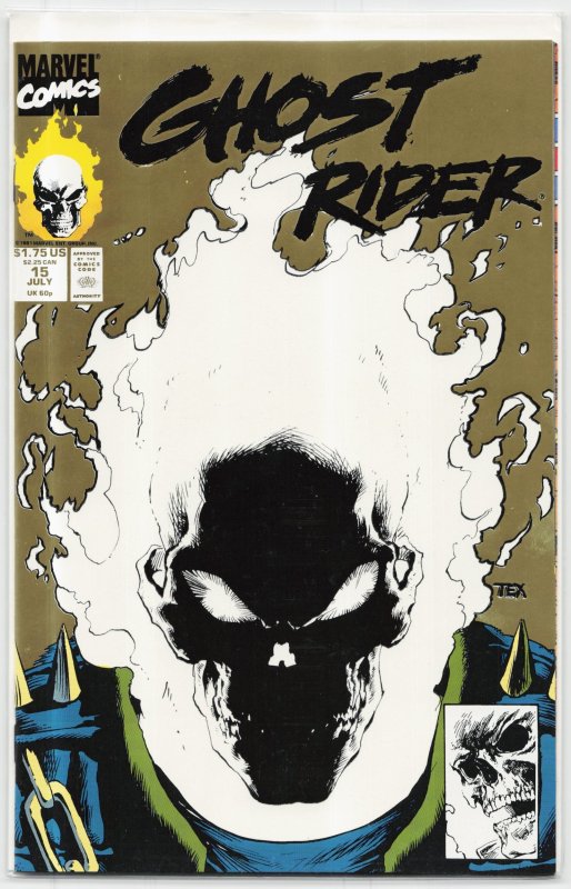 Ghost Rider #15 (Marvel Comics, 1991), raw, ungraded comic book — front cover