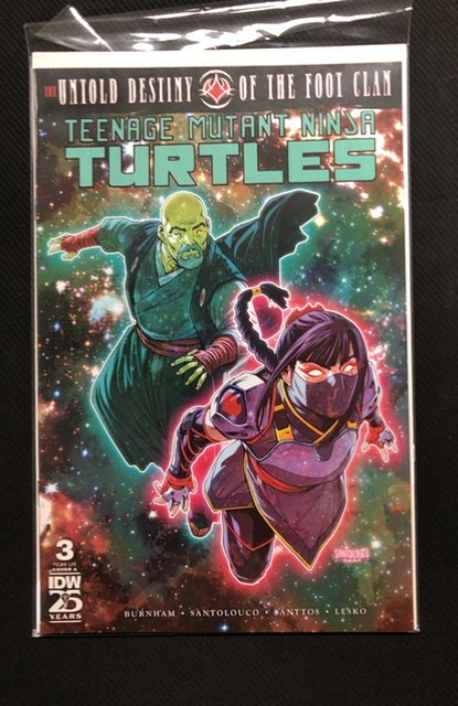 Teenage Mutant Ninja Turtles: The Untold Destiny of the Foot Clan #3 (2024), raw, ungraded comic book — front cover