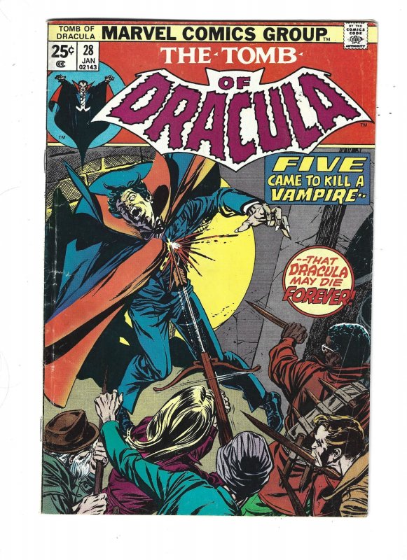 Tomb of Dracula #28 (Marvel Comics, 1975), raw, ungraded comic book — front cover