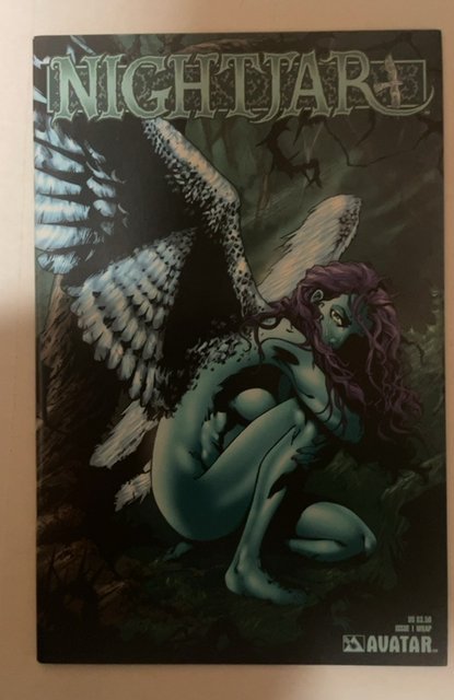 Nightjar #1 (2004), raw, ungraded comic book — front cover