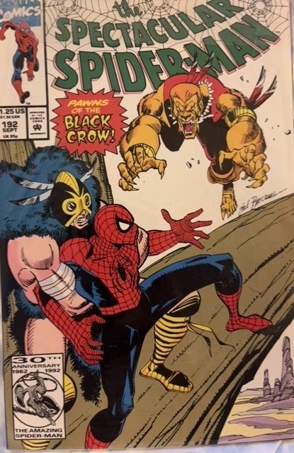 The Spectacular Spider-Man #192 (Marvel Comics, 1992), raw, ungraded comic book — front cover