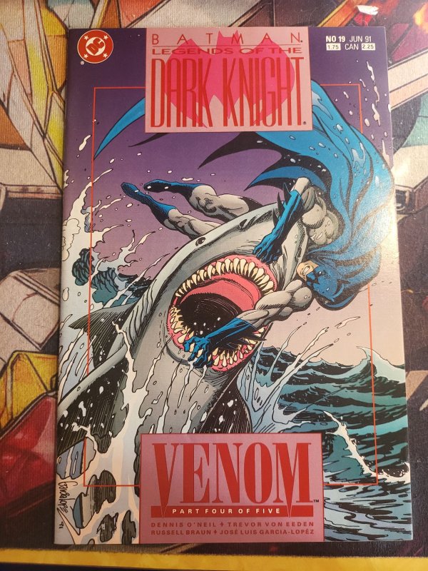 Batman: Legends of the Dark Knight #19 (DC Comics, 1991), raw, ungraded comic book — front cover