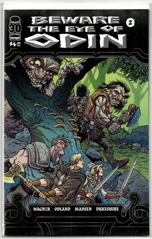Beware the Eye of Odin #2 (2022), raw, ungraded comic book — front cover