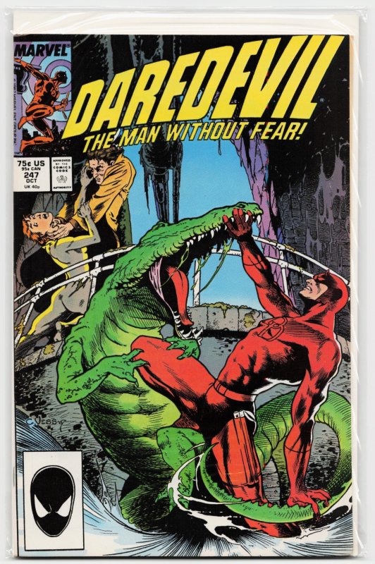 Daredevil #247 (Marvel Comics, 1987), raw, ungraded comic book — front cover