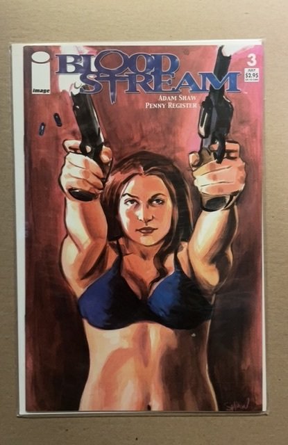 Bloodstream #3 (2004), raw, ungraded comic book — front cover