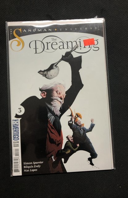 The Dreaming #3 (2019), raw, ungraded comic book — front cover