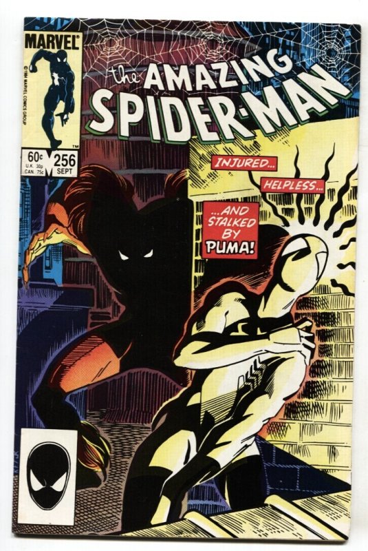 Amazing Spider-Man #256 (Marvel Comics, 1984), raw comic book in VF- condition — front cover