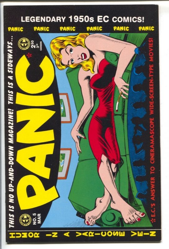 Panic #5 (1998), raw comic book in VF condition — front cover