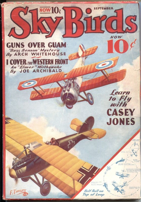 SKY Birds Sept 1933-Buzz Benson-Hero Pulp-Stories OF WAR Skies-Frank Tinsley... (1933), raw, ungraded comic book — front cover