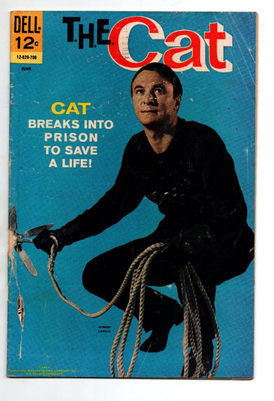 The Cat #3 (Dell Comics, 1967), raw comic book in GD/VG condition — front cover