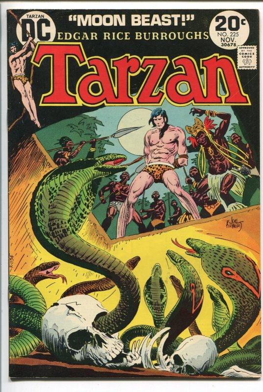 Tarzan #225 (DC Comics, 1973), raw, ungraded comic book — front cover