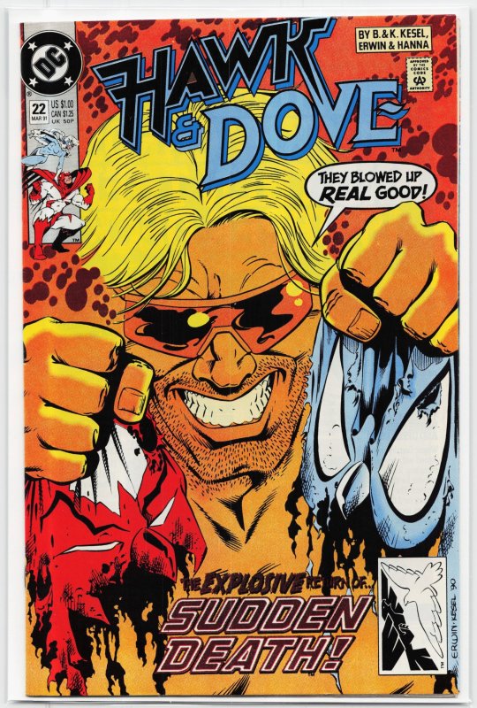 Hawk and Dove #22 (DC Comics, 1991), raw, ungraded comic book — front cover