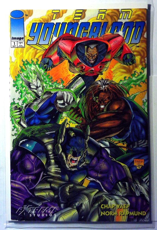 Team Youngblood #1 (Image Comics, 1993), raw, ungraded comic book — front cover