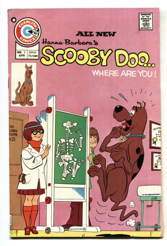 Sooby Doo #1 (Charlton Comics, 1975), raw, ungraded comic book — front cover
