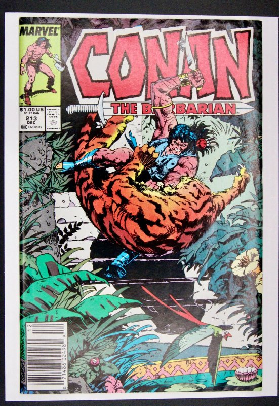 Conan the Barbarian #213 (Marvel Comics, 1988), raw comic book in FN+ condition — front cover