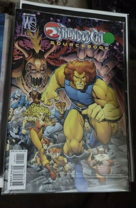Thundercats # Sourcebook 2002 Wildstorm Lion -O Tygra Cheetera (2002), raw, ungraded comic book — front cover