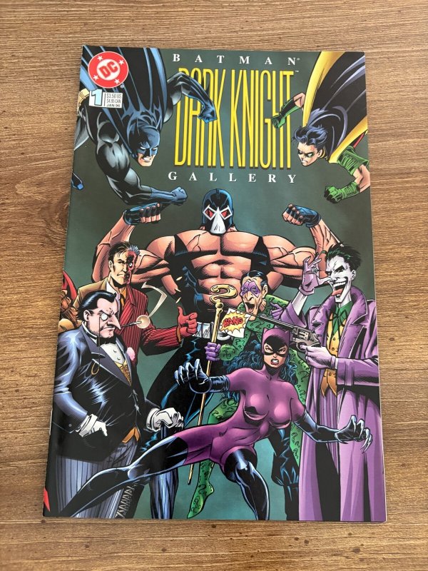 Batman Dark Knight Gallery #1 (DC Comics), raw comic book in NM condition — front cover