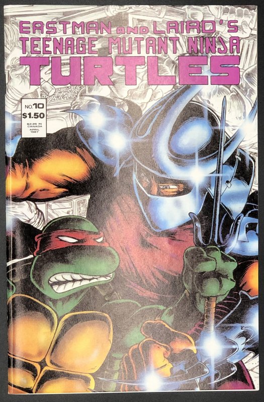 Teenage Mutant Ninja Turtles #10 (Mirage Studios, 1987), raw comic book in NM condition — front cover