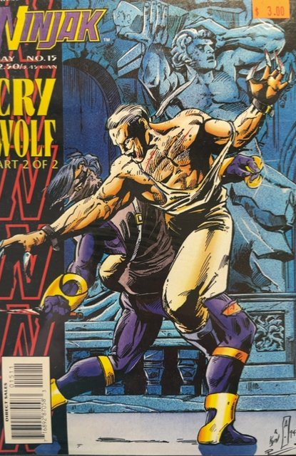 Ninjak #15 (Valiant Comics, 1995), raw, ungraded comic book — front cover