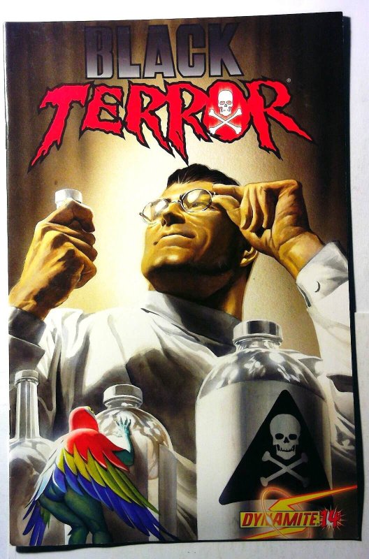 Black Terror #14 (Dynamite Entertainment, 2011), raw, ungraded comic book — front cover