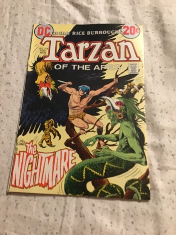 Edgar Rice Burroughs' Tarzan #214 (1972), raw comic book in NM- condition — front cover