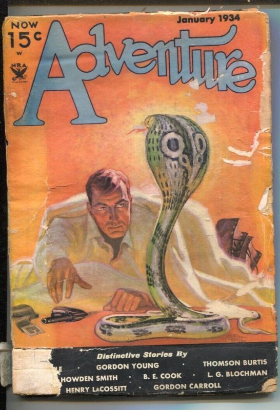 Pulp: Adventure 1/1934-Butterick-cobra Snake-cJungle Cover-Hubert Rogers-W...., raw, ungraded comic book — front cover