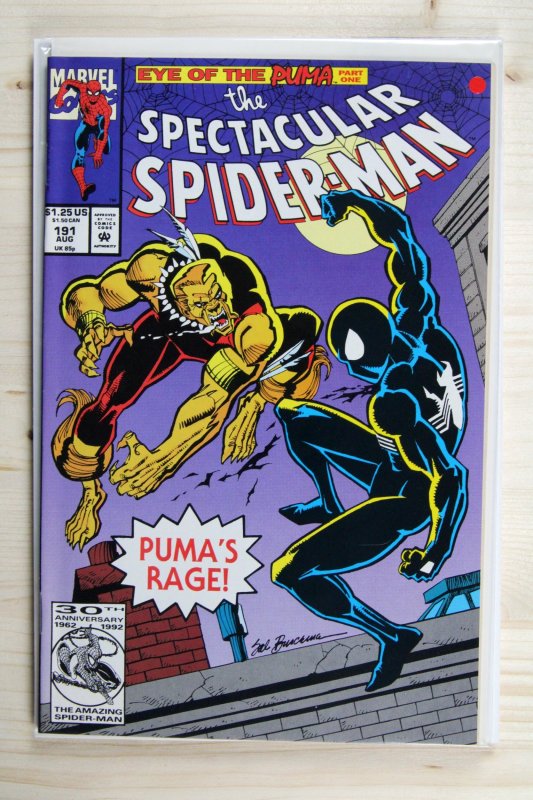 The Spectacular Spider-Man #191 (Marvel Comics, 1992), raw comic book in NM- 9.2 condition — front cover