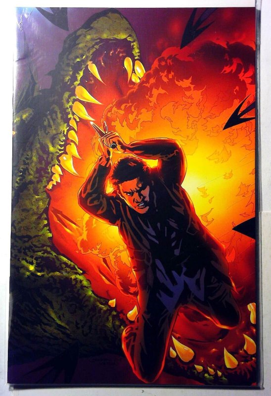 Angel: After the Fall #11 (IDW Publishing, 2008), raw, ungraded comic book — front cover