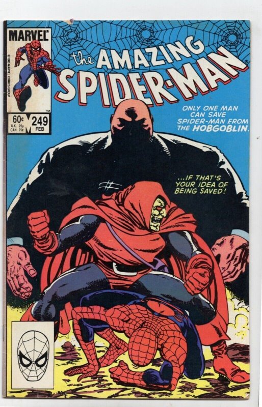 Amazing Spider-Man #249 (Marvel Comics, 1984), raw comic book in VG/FN 5.0 condition — front cover