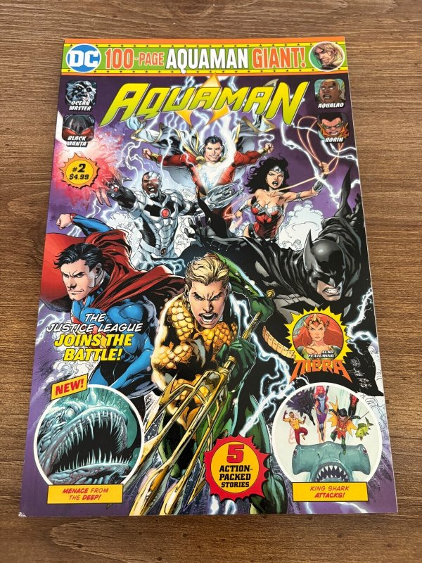 Aquaman 100 Page Giant #2 (DC Comics), raw comic book in NM condition — front cover