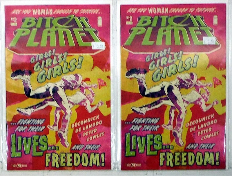 Bitch Planet Lot of 2 #2 x2 (2015) Image Comics 1st Print Comic Books (Image Comics, 2015), raw, ungraded comic book — front cover