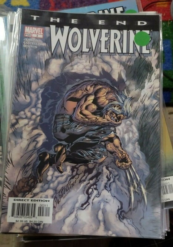 Wolverine the End #3 (Marvel Comics, 2004), raw, ungraded comic book — front cover