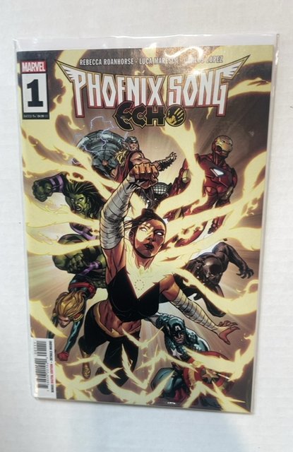 Phoenix Song: Echo #1, raw, ungraded comic book — front cover