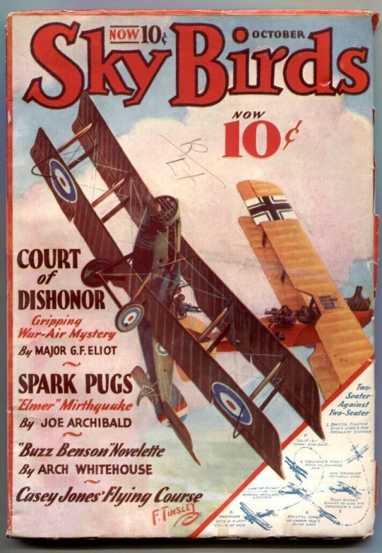 Pulp: Sky Birds Pulp October 1933- Court of Dishonor VG/F (1933), raw comic book in VG condition — front cover