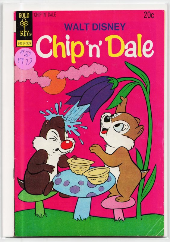 Walt Disney Chip 'n' Dale #23 (Gold Key, 1973), raw, ungraded comic book — front cover