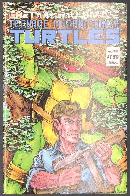 Teenage Mutant Ninja Turtles #12 (Mirage Studios, 1987), raw comic book in NM condition — front cover