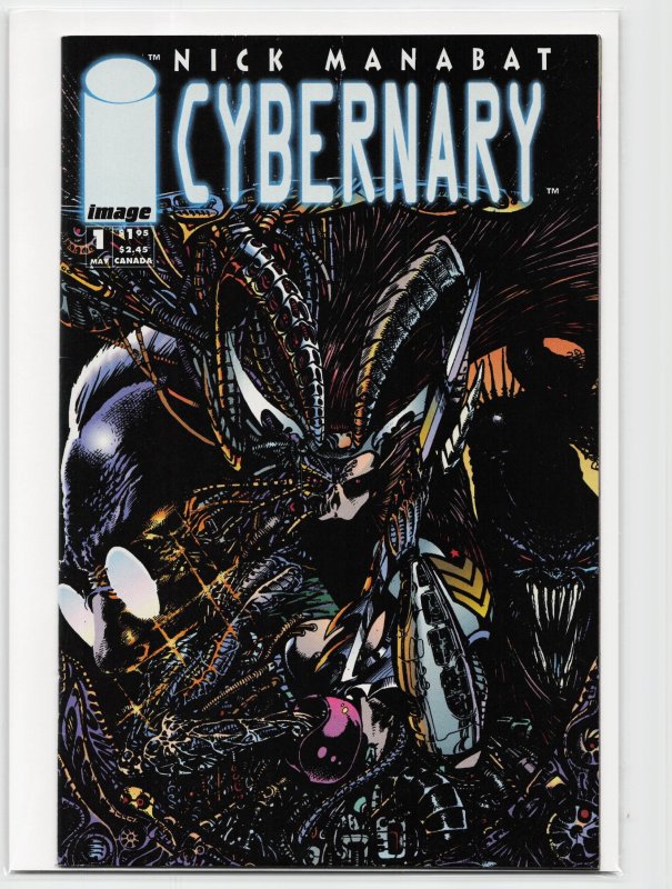 Cybernary #1 (Image Comics, 1995), raw, ungraded comic book — front cover