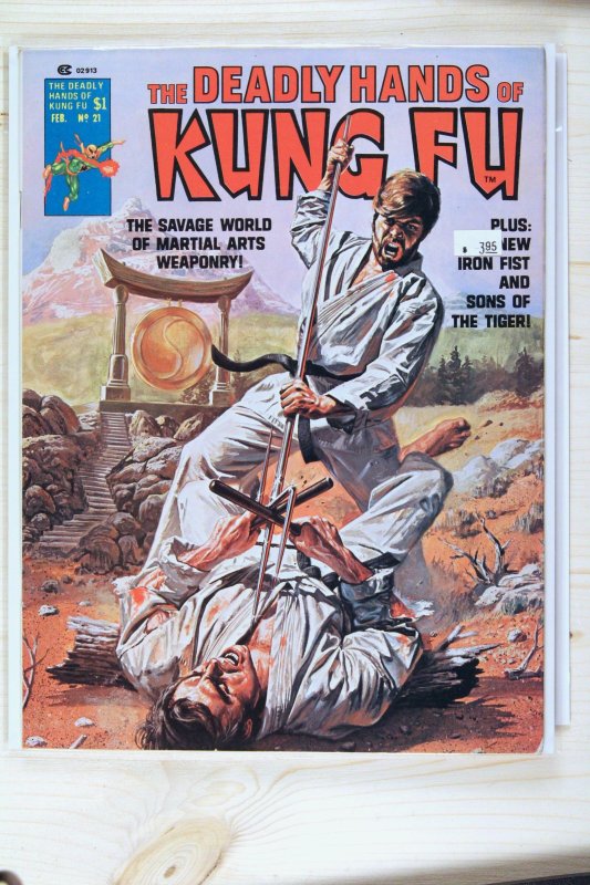 The Deadly Hands of Kung Fu #21 (Marvel Comics, 1976), raw comic book in NM 9.4 condition — front cover