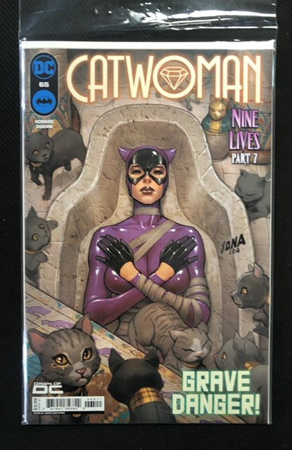 Catwoman #65 (DC Comics, 2024), raw, ungraded comic book — front cover