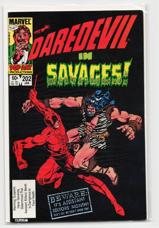 Daredevil #202 (Marvel Comics, 1984), raw, ungraded comic book — front cover