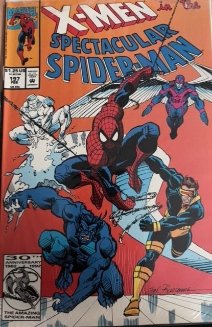 The Spectacular Spider-Man #197 (Marvel Comics, 1993), raw, ungraded comic book — front cover