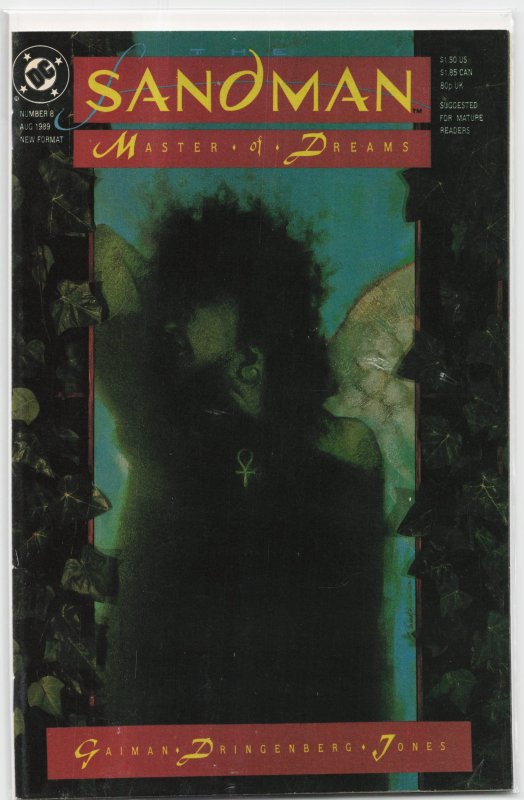 The Sandman #8 (DC Comics, 1989), raw, ungraded comic book — front cover