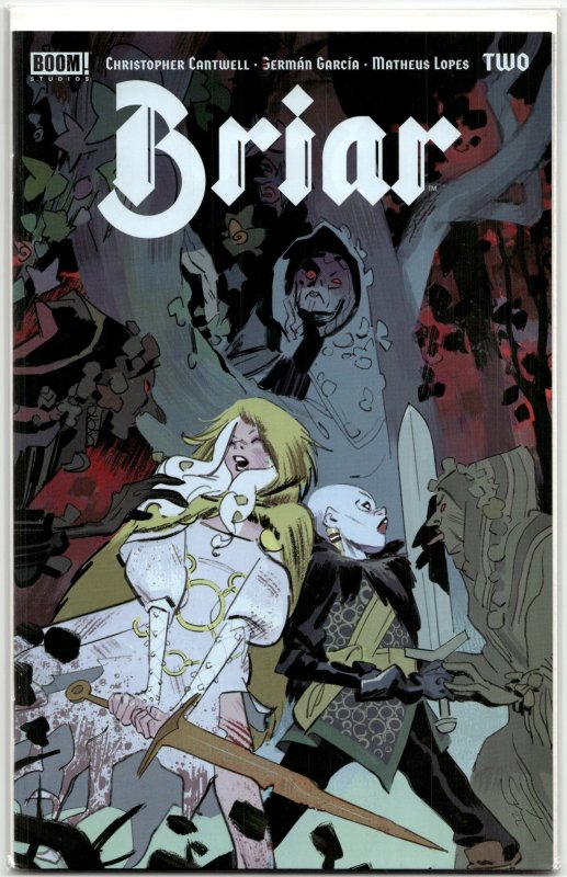 Briar #2 (BOOM! Studios, 2022), raw, ungraded comic book — front cover