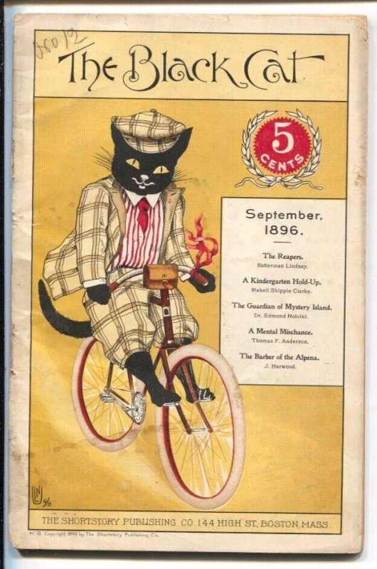 Pulp: Black Cat #12, raw, ungraded comic book — front cover