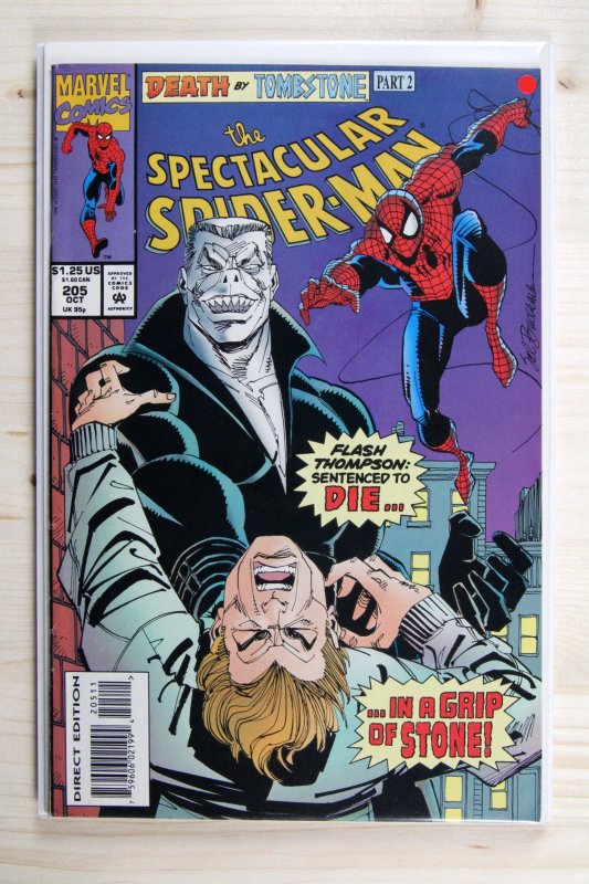 The Spectacular Spider-Man #205 (Marvel Comics, 1993), raw comic book in NM- 9.2 condition — front cover