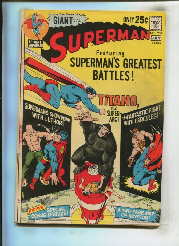 Superman #239 (DC Comics, 1971), raw comic book in 6.5 condition — front cover
