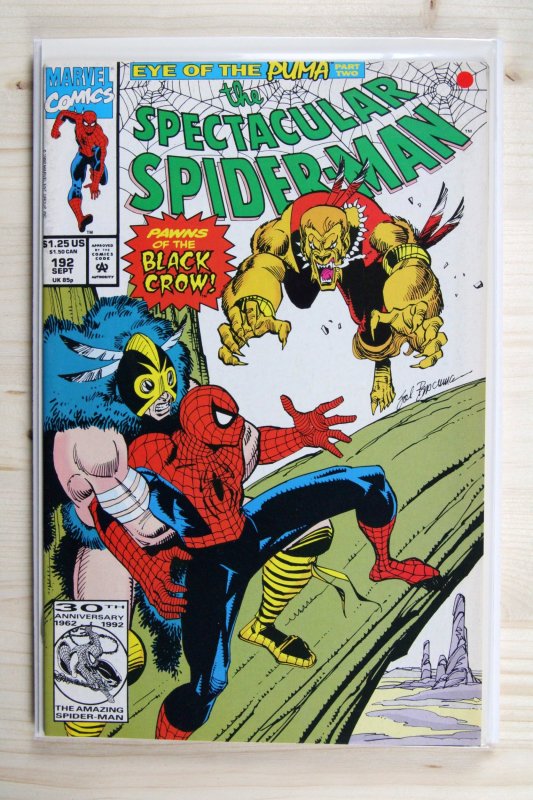 The Spectacular Spider-Man #192 (Marvel Comics, 1992), raw comic book in NM- 9.2 condition — front cover