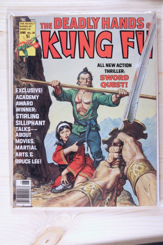 The Deadly Hands of Kung Fu #25 (Marvel Comics, 1976), raw comic book in VF/NM 9.0 condition — front cover